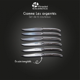 Coffret 6 couteaux de table Laguiole ®