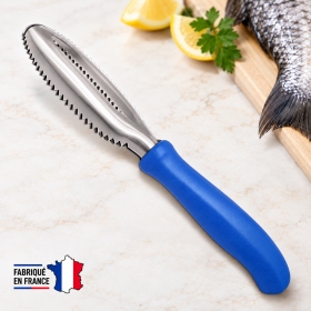 Ecailleur inoxydabe bleu